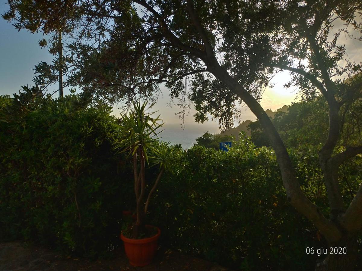 מראטיאה Bed & Breakfast Laino מראה חיצוני תמונה